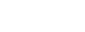 Pluma Internacional